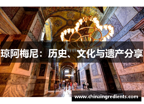 琼阿梅尼：历史、文化与遗产分享